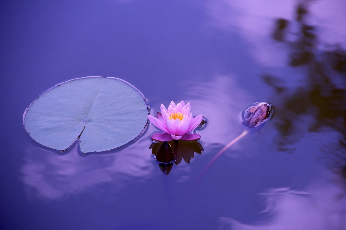 daily meditation tips